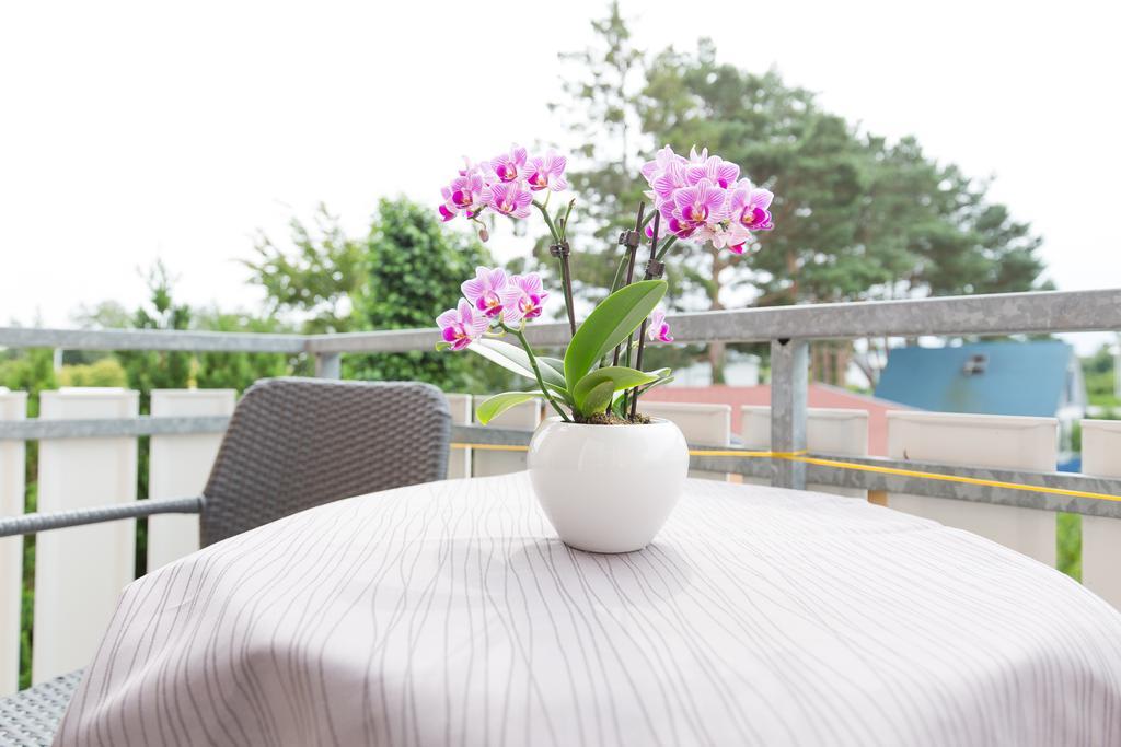 Hotel Garni Am Deich Zingst Rum bild