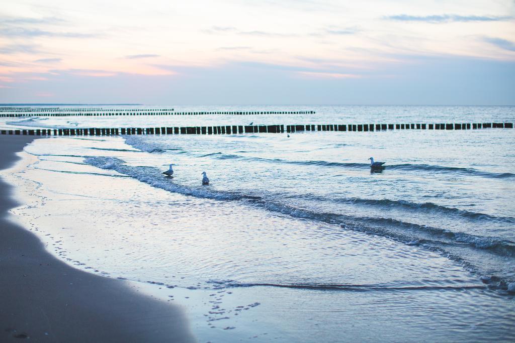 Hotel Garni Am Deich Zingst Exteriör bild